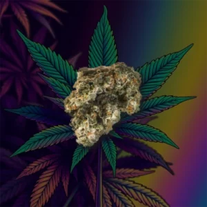Captain Junky product image