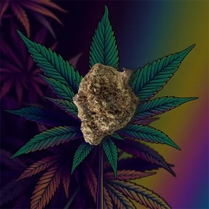 Strawberry Cough cannabis strain